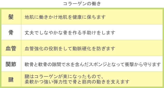 コラーゲンの働き