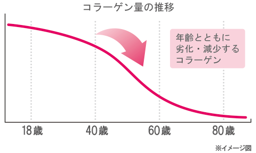 コラーゲン量の推移