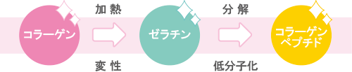 コラーゲンペプチド図